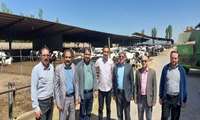 بازدید معاون سازمان جهاد کشاورزی قزوین ازیک مجتمع دامپروری و کشاورزی