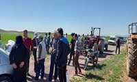 برگزاری کارگاه آموزشی مدیریت آفات و علف‌های هرز در مزارع گندم و جو قزوین