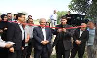 یک طرح کشاورزی در شهرستان البرز افتتاح شد
