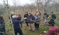 انتقال یافته‌های نوین تحقیقاتی فندق به باغداران منطقه الموت در رجایی‌دشت قزوین