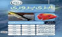 اینفوگرافی | آبزی پروری نبض تازه توسعه در استان قزوین
