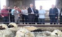 بازدید معاون وزیر جهاد کشاورزی از شرکت مهرگستر سیمرغ گوشت زیاران با هدف بررسی ظرفیت تولید و رفع موانع