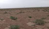 واگذاری ۱۰ هکتار از اراضی ملی قزوین برای احداث نیروگاه خورشیدی