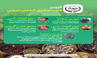 اینفوگرافی | قزوین قطب نوظهور گیاهان دارویی