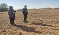 پیشرفت ۵۰ درصدی کشت پاییزه در شهرستان البرز با مدیریت بهینه نهاده‌های کشاورزی