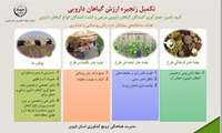  اینفوگرافی/ زنجیره ارزش گیاهان دارویی- قسمت سوم