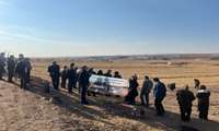 جشنواره برداشت زعفران در کوهین برگزار شد