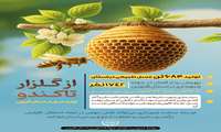 اینفوگرافی | از گلزار تا کندو