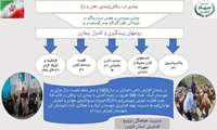  اینفوگرافی | روش های پیشگیری و کنترل تب برفکی