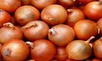 بررسی نهایی نقشه‌های پنج پلاک ثبتی در کارگروه رفع تداخل اراضی قزوین