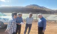 بازدید سرپرست معاونت تولیدات گیاهی سازمان جهاد کشاورزی استان قزوین از منطقه طارم سفلی