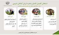 ���� اینفوگرافی | ذینفعان کلیدی تکمیل زنجیره ارزش گیاهان دارویی 