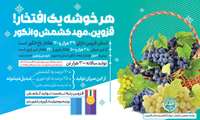  اینفوگرافی | هر خوشه افتخار، قزوین مهد کشمش و انگور