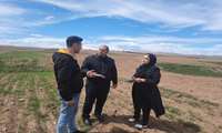 پایش به همراه آموزش: در راستای طرح پایداری تولید در دیمزارها مرکز کوهین شهرستان قزوین 