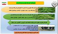  کنترل علف های هرز شهرستان قزوین