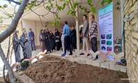 توانمندسازی زنان روستایی شترک؛ گامی نو در تحقق زنجیره ارزش گیاهان دارویی با کشت نعنا