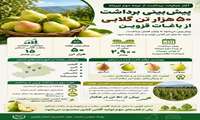     پیش‌بینی برداشت ۵۰ هزار تن گلابی از باغات قزوین