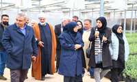 سفر  مریم جلیلی‌مقدم، رئیس سازمان حفظ نباتات کشور و معاون وزیر به استان قزوین