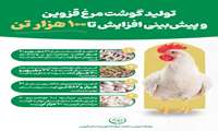 تولید گوشت مرغ در قزوین و پیش بینی افزایش تا 100 هزار تن 