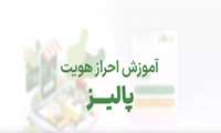 موشن گرافی مربوط به نحوه ثبت نام مشتری (مرغدار یا دامدار)در سامانه ‌پالیز جهت برقراری اعتبار زنجیره تامین نهاده دام و طیور برای خرید در بازارگاه ( نوی پو)