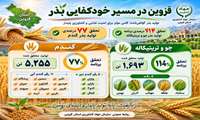 اینفوگرافی | قزوین در مسیر خودکفایی بذر 