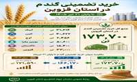 اینفوگرافی | روند خرید تضمینی گندم در استان قزوین تا 21 تیرماه 1405 