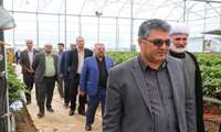 بازدید مدیرعامل شرکت شهرک‌های کشاورزی کشور از شهرک گلخانه‌ای نودهک؛ گامی در مسیر توسعه تولید گلخانه‌ای قزوین