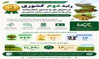 اینفوگرافی | شهرستان قزوین رتبه دوم کشور در شناسنامه‌دار کردن واحدهای کشاورزی 