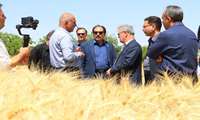 گزارش تصویری سفر رئیس سازمان تحقیقات، آموزش و ترویج کشاورزی کشور به استان قزوین 
