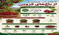 اینفوگرافی | طعم ناب طبیعت از باغ های استان قزوین