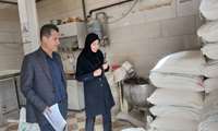 تشکیل ۹۹۵ پرونده تخلف در نانوایی‌های استان؛ ارزش ریالی پرونده‌ها ۲ میلیارد تومان