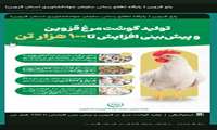 اینفوگرافی | تولید گوشت مرغ در قزوین و پیش بینی افزایش تا 100 هزار تن