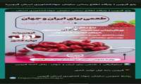  اینفوگرافی | طمعی برای ایران و جهان ، زغال آخته قزوین  قزوین رتبه اول تولید کشور 