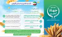 اینفوگرافی | گندم طلای زرد استان قزوین   هدف گذاری تولید ۳۲۰ هزارتن گندم در استان قزوین   