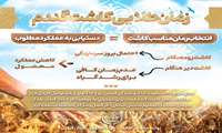  اینفوگرافی | زمان طلایی کاشت گندم