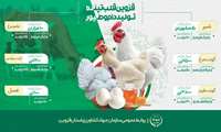 اینفوگرافی :   استان قزوین قلب تپنده تولیدات دام و طیور
