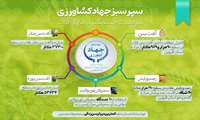 اینفوگرافی | کنترل موفقیت‌آمیز آفت سن غلات در سطح ۹۰هزار و ۹۶۳ هکتار از مزارع استان قزوین