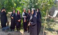 توانمندسازی زنان روستایی تاکستان با آموزش ایجاد باغچه سلامت