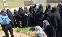 ارتقای دانش کشاورزی زنان روستایی؛ کارگاه تخصصی کشت گل گاوزبان در آوج برگزار شد
