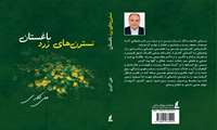 کتاب «نسترن‌های زرد باغستان» به قلم علی اکبری منتشر شد