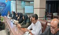 تأکید بر پرداخت به‌موقع تسهیلات: قزوین در مسیر جذب کامل اعتبارات مکانیزاسیون کشاورزی