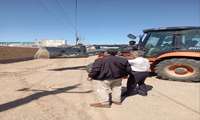 قلع‌وقمع ۶ مورد ساخت‌وساز غیرمجاز در اراضی کشاورزی روستای لوشکان اسفرورین
