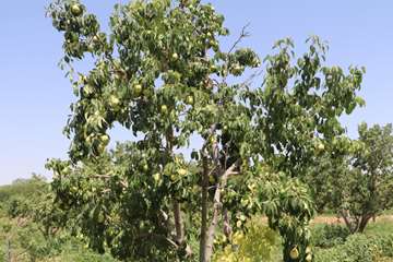 IMG_20260805_130533_010