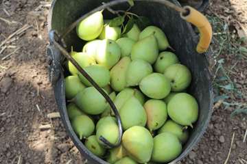 IMG_20260805_130535_197