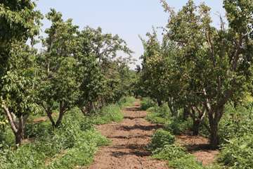 IMG_20260805_130539_824