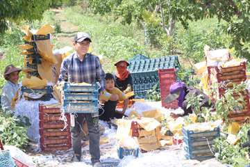 IMG_20260805_130542_474