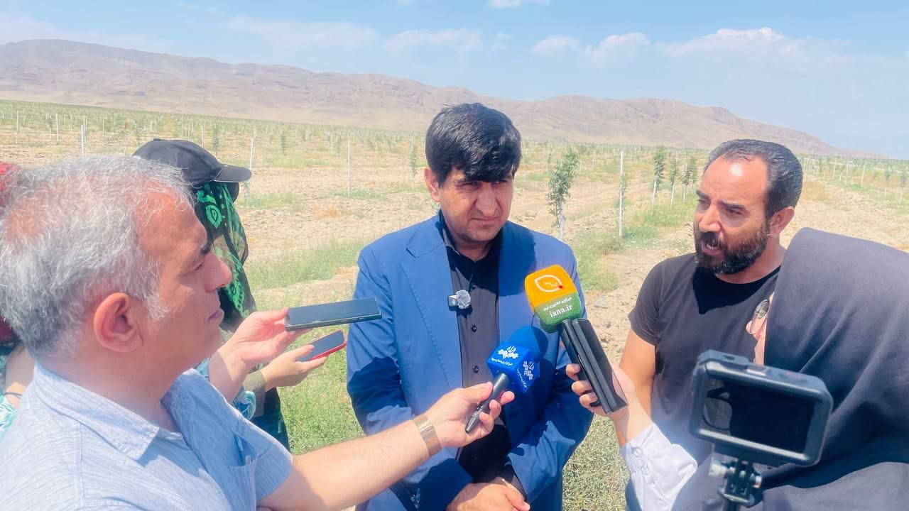 بزرگترین باغ گردو و پسته مدرن و هوشمند غرب آسیا امسال به بهره‌برداری می‌رسد