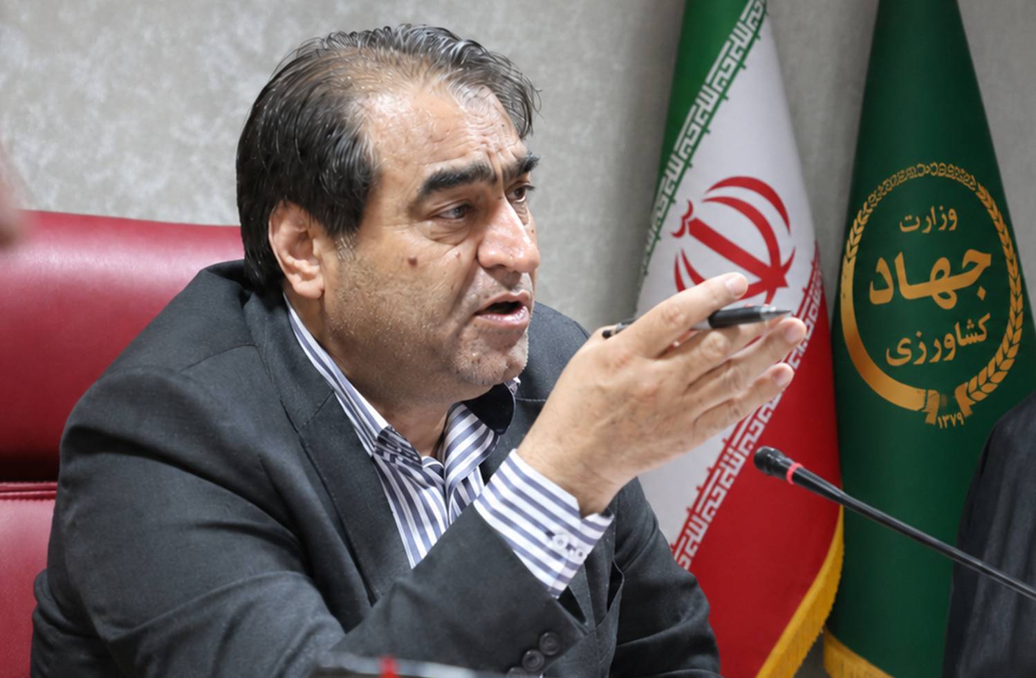 آغاز خرید حمایتی مرغ از ۲۳ شهریور ماه
