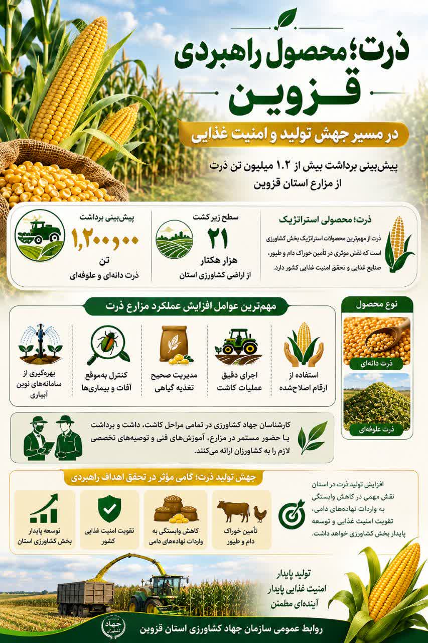  ذرت  محصول راهبردی قزوین ، در مسیر جهش تولید و امنیت غذایی 