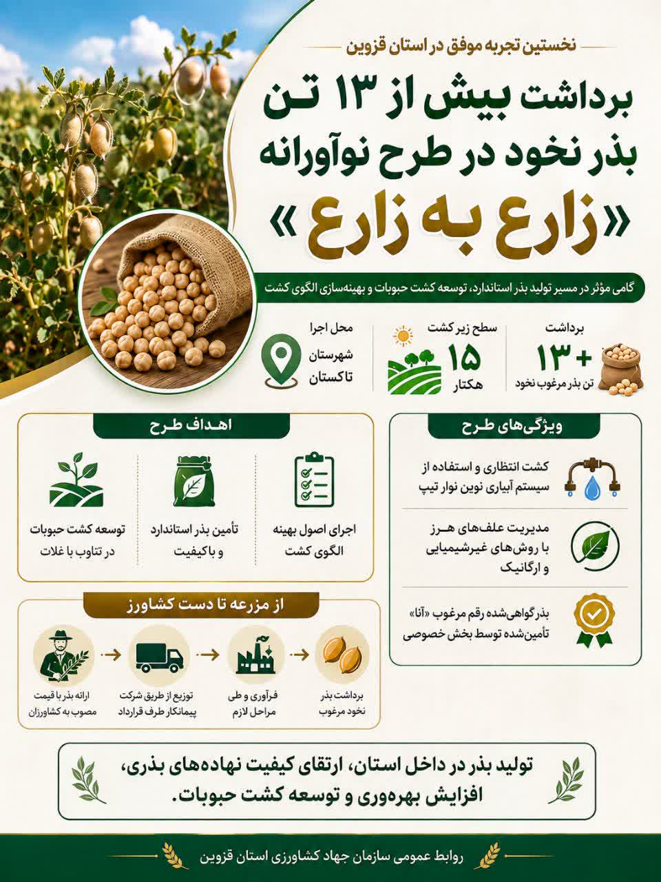    برداشت بیش از ۱۳ تن بذر نخود در نخستین اجرای طرح «زارع به زارع» قزوین